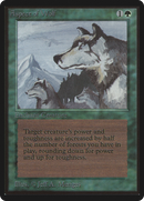 Aspect of Wolf (LEB-)  - Limited Edition Beta