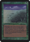 Lifelace (LEA-)  - Limited Edition Alpha