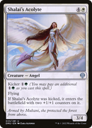 Shalai's Acolyte (DMU-033)  Foil - Dominaria United