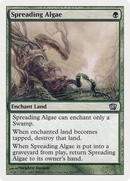 Spreading Algae (8ED-281) - Eighth Edition