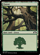 Forest (TPR-266)  Foil - Tempest Remastered