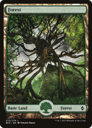 Forest (273) - Full Art (BFZ-273)  Foil - Battle for Zendikar