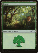 Forest (576) (SLD-576)  Foil - Secret Lair Drop