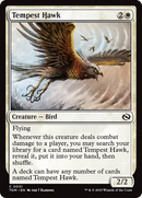 Tempest Hawk (TDM-031)  Foil - Tarkir: Dragonstorm