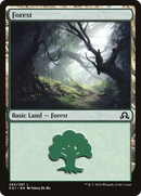 Forest (SOI-295)  - Shadows over Innistrad
