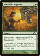 Predator's Rapport (GTC-129) - Gatecrash Foil