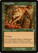 Young Wolf (Retro Frame) (INR-425)  Foil - Innistrad Remastered
