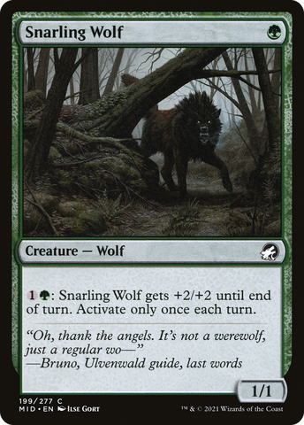 Snarling Wolf (MID-199)  - Innistrad: Midnight Hunt