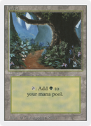 Forest (B) (3ED-286)  - Revised Edition