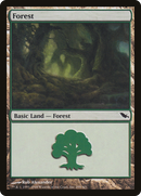 Forest (299) (SHM-299)  Foil - Shadowmoor