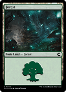Forest (0273) (CLU-273)  - Ravnica: Clue Edition