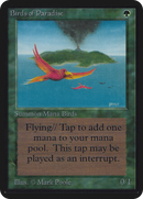 Birds of Paradise (LEA-)  - Limited Edition Alpha