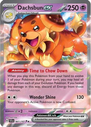 Dachsbun ex 067/142 - Holofoil SV07 Stellar Crown