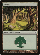 Forest (300) (LRW-300)  - Lorwyn