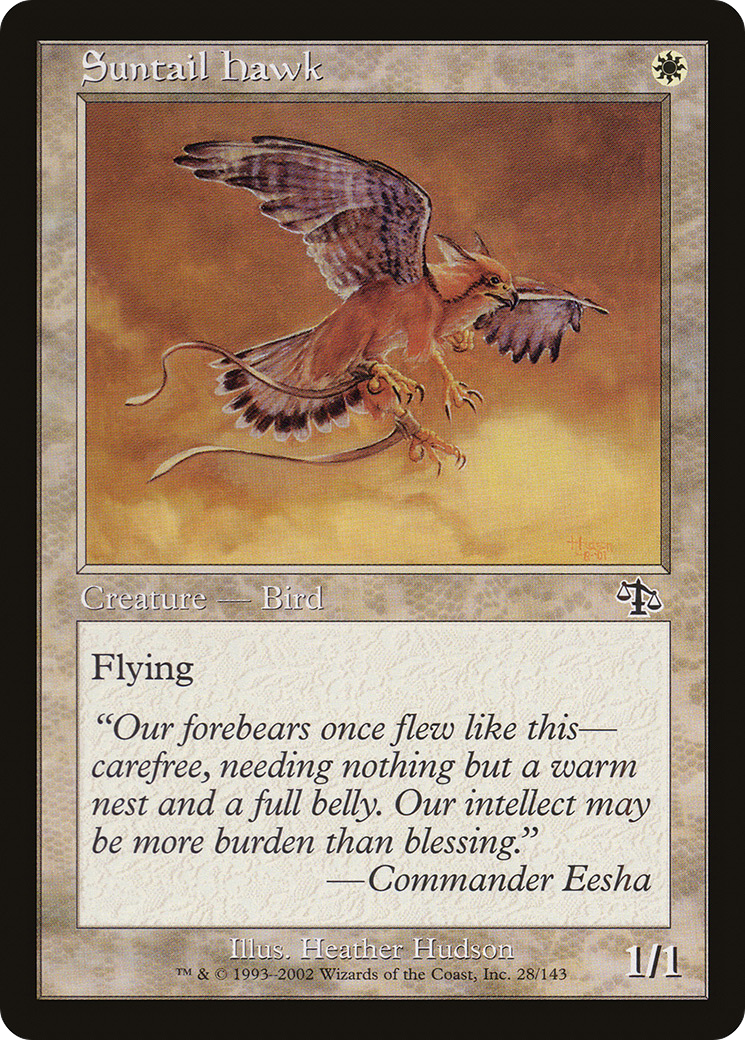 Suntail Hawk (JUD-028)  - Judgment