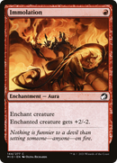 Immolation (MID-144)  Foil - Innistrad: Midnight Hunt