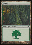 Forest (301) (SHM-301)  - Shadowmoor