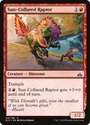 Sun-Collared Raptor (RIX-118)  - Rivals of Ixalan