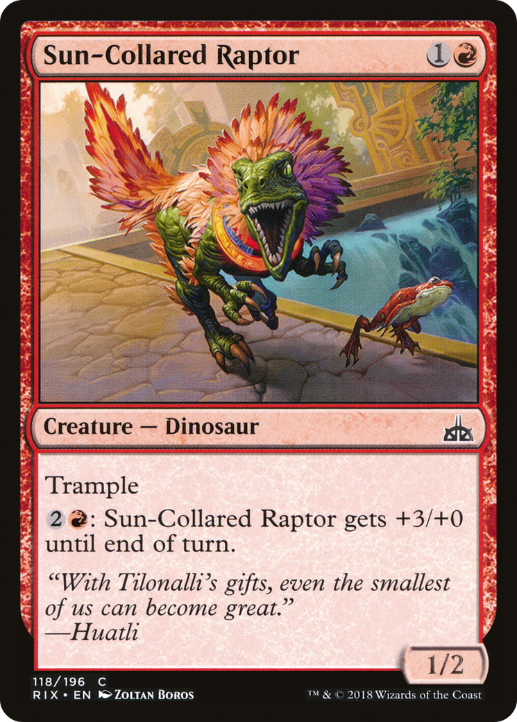 Sun-Collared Raptor (RIX-118)  - Rivals of Ixalan