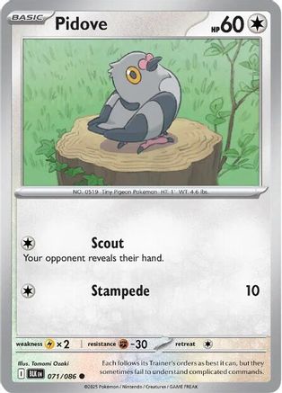 Pidove 071/086 - Reverse Holofoil SV Black Bolt