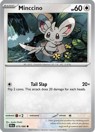 Minccino 075/086 - Reverse Holofoil SV Black Bolt