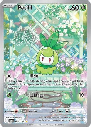 Petilil 091/086  - Holofoil SV Black Bolt - Illustration Rare