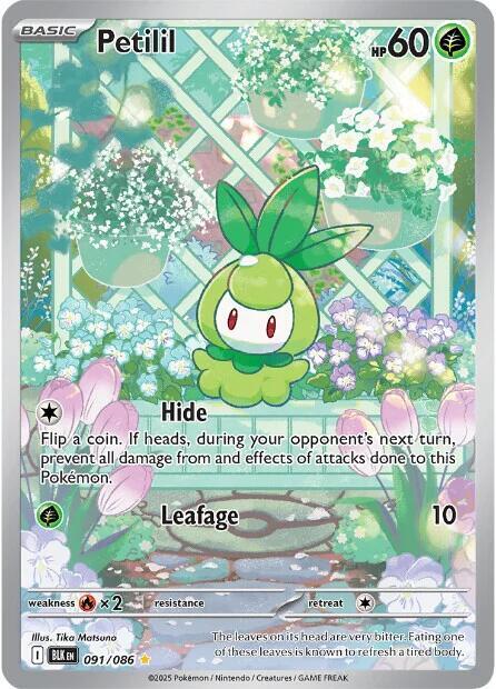 Petilil (091/086) [Scarlet & Violet: Black Bolt]