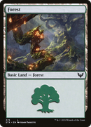 Forest (375) (STX-375)  Foil - Strixhaven: School of Mages
