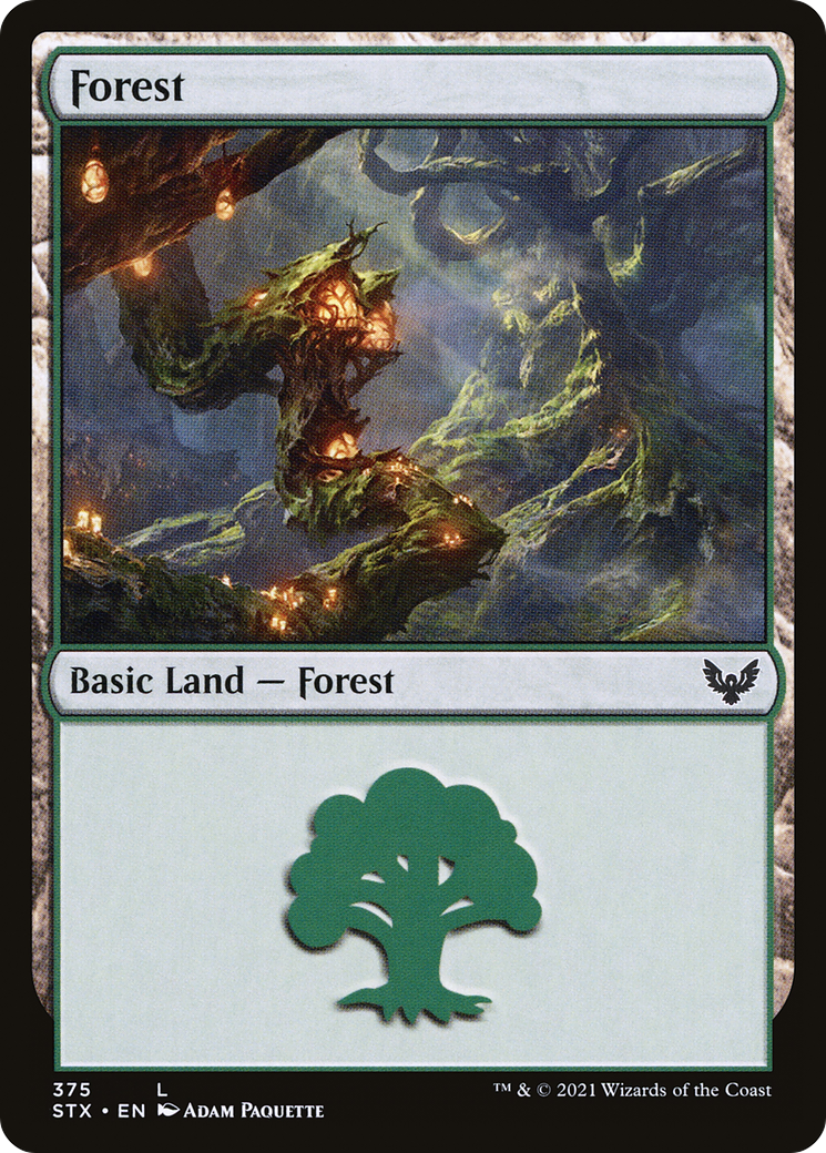Forest (375) (STX-375)  Foil - Strixhaven: School of Mages