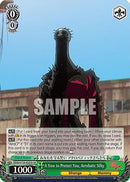 A Vow to Protect You, Acrobatic Silky (SR) (DDD/S118-E025S SR) - DANDADAN