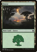 Forest (264) (DTK-264) - Dragons of Tarkir Foil