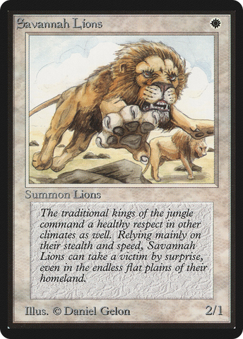 Savannah Lions (LEB-)  - Limited Edition Beta