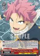 Down for Family Disputes, Natsu (SR) (FT/S120-E062S SR) - FAIRY TAIL 100 YEARS QUEST