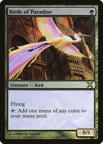 Birds of Paradise (10E-252★)  Foil - Tenth Edition
