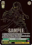 Precision Shooting, CZ (PR+) (Foil) (OVL/SE51-PE01EX PR+) - Nazarick: Tomb of the Undead Vol.3 Extra Booster