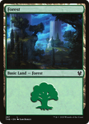 Forest (287) (THB-287)  - Theros Beyond Death