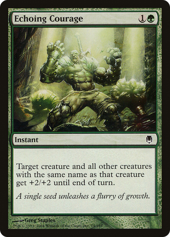 Echoing Courage (DST-074)  Foil - Darksteel