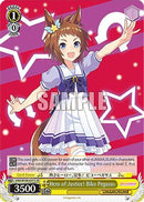 Hero of Justice! Biko Pegasus (SR) (UMA/W106-E031S) - Umamusume: Pretty Derby