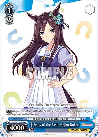 Scars of the Past, Mejiro Dober (UMA/W106-E144) - Umamusume: Pretty Derby