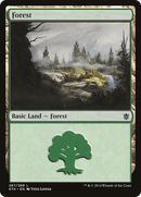 Forest (267) (KTK-267)  - Khans of Tarkir