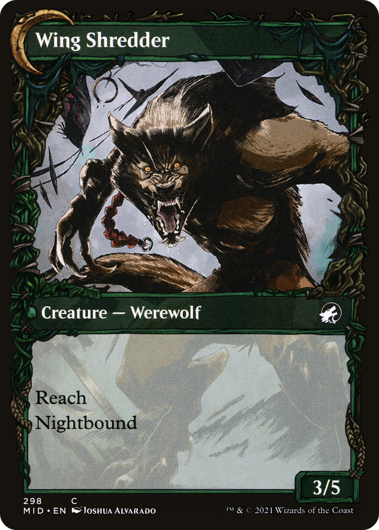 Bird Admirer (Showcase) (MID-298)  - Innistrad: Midnight Hunt: (Showcase, Double Faced Transform)