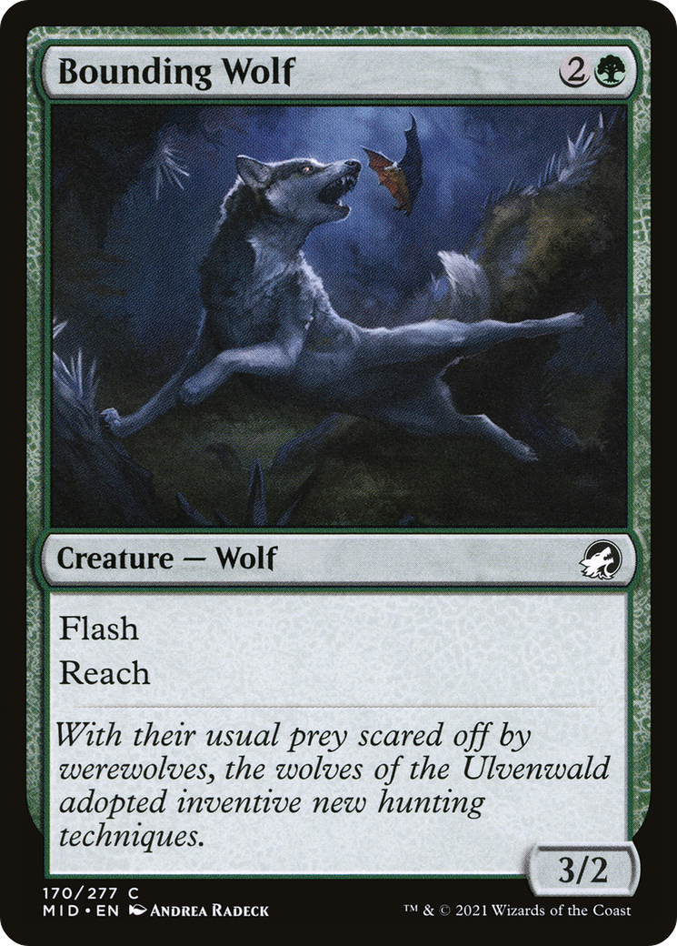 Bounding Wolf (MID-170)  Foil - Innistrad: Midnight Hunt