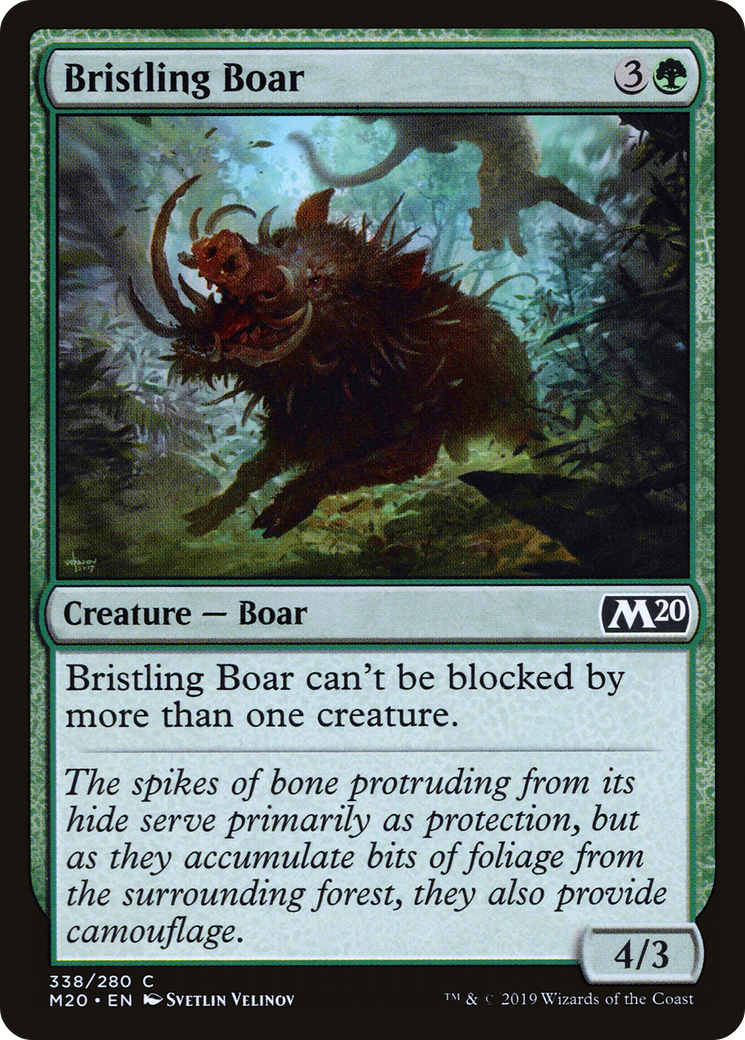 Bristling Boar (M20-338)  - Core Set 2020