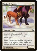 Trained Caracal (RTR-027)  - Return to Ravnica