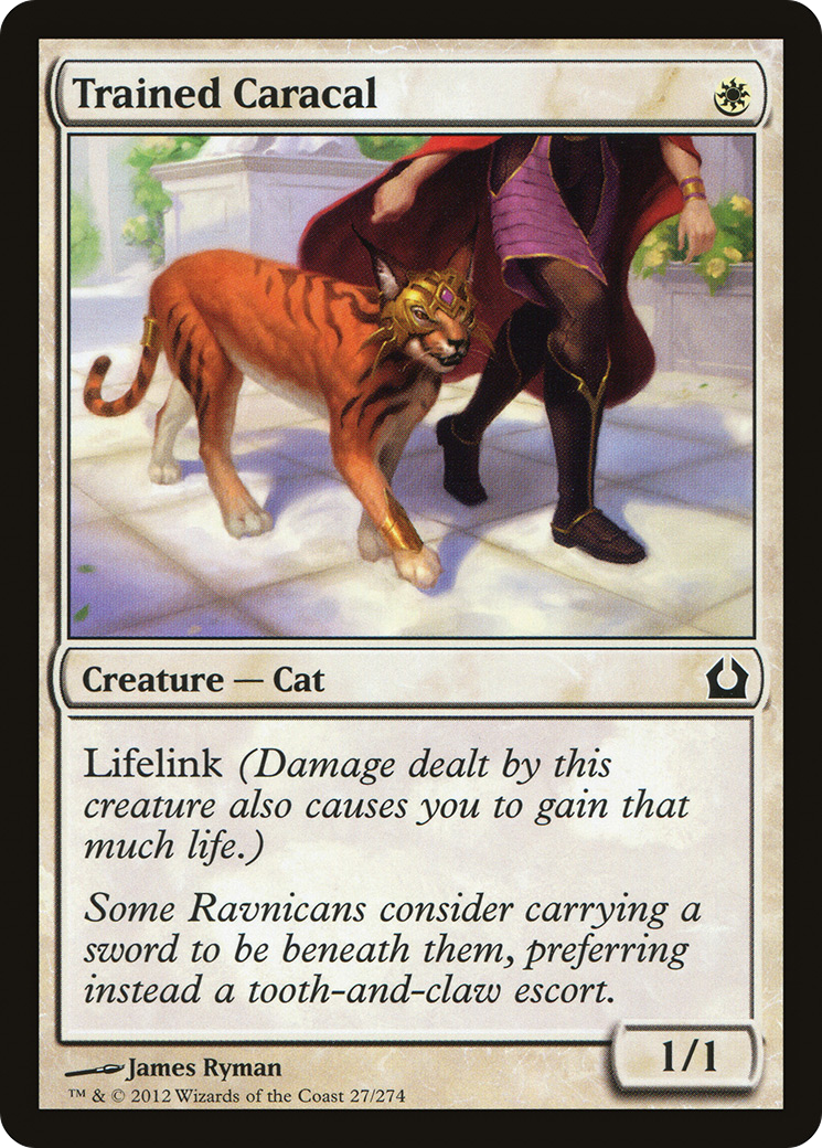 Trained Caracal (RTR-027)  Foil - Return to Ravnica