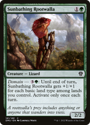Sunbathing Rootwalla (DMU-181)  - Dominaria United