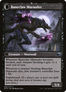 Baneblade Scoundrel (MID-085) - Innistrad: Midnight Hunt: (Double Faced Transform)