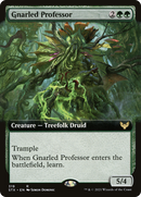 Gnarled Professor (Extended Art) (STX-319) - Strixhaven: School of Mages: (Extended Art) Foil