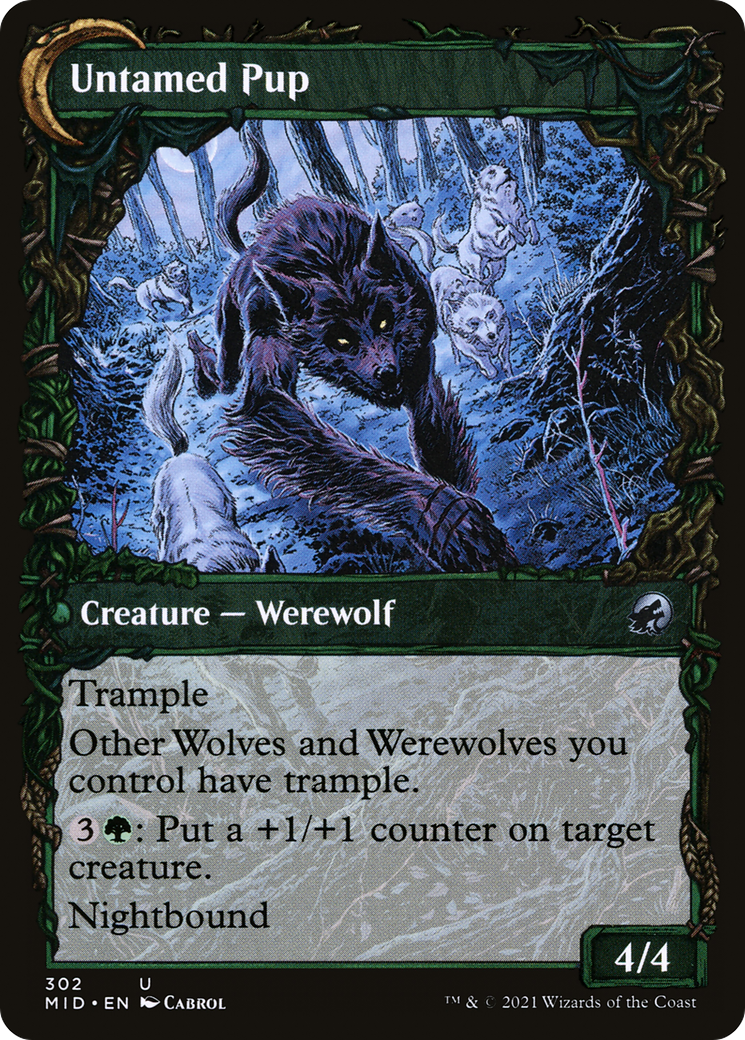 Hound Tamer (Showcase) (MID-302)  Foil - Innistrad: Midnight Hunt: (Showcase, Double Faced Transform)