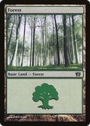 Forest (350) (8ED-350★) - Eighth Edition Foil
